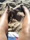 Piedi nella sabbia