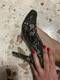 high heel and foot